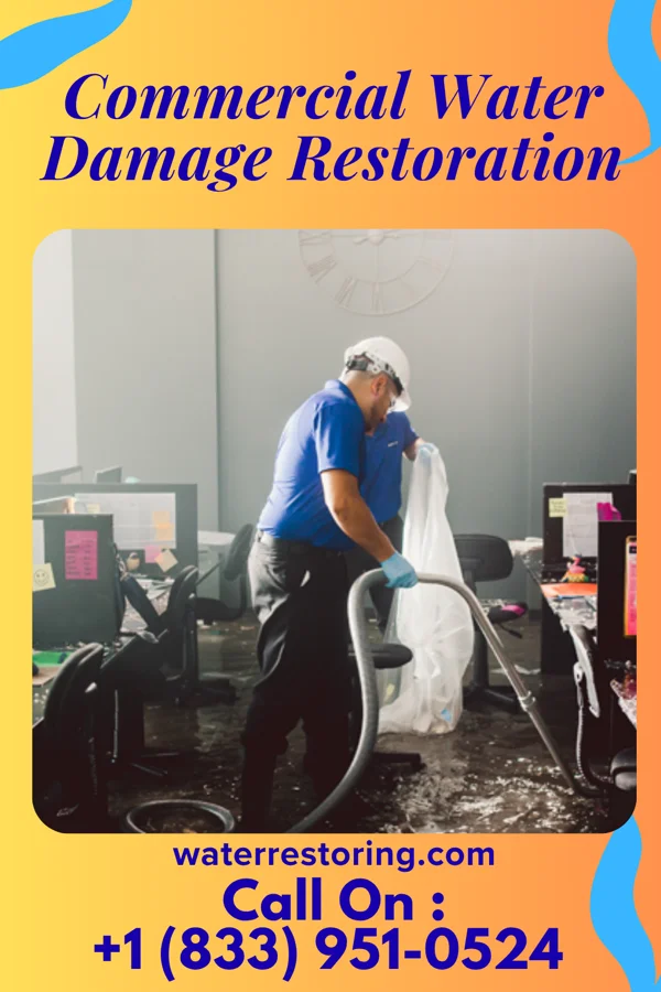 Commercial Water Damage Restoration in Charlestown, MD
