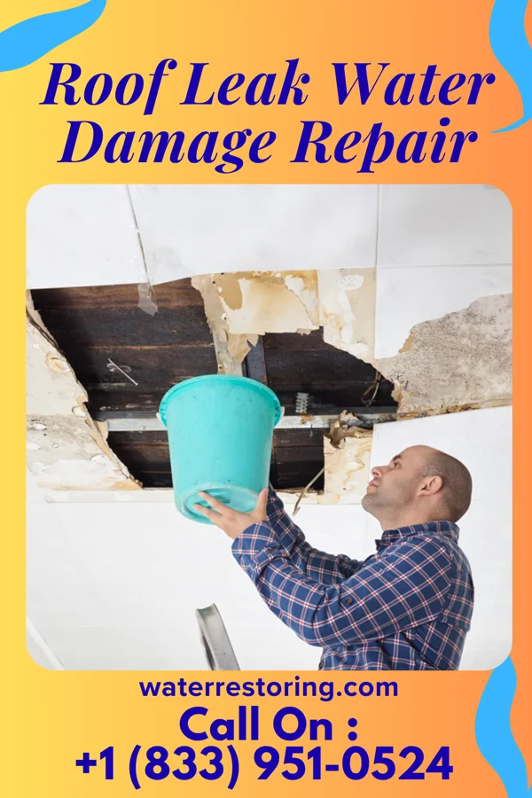 Roof Leak Water Damage Repair in Charlestown, MD