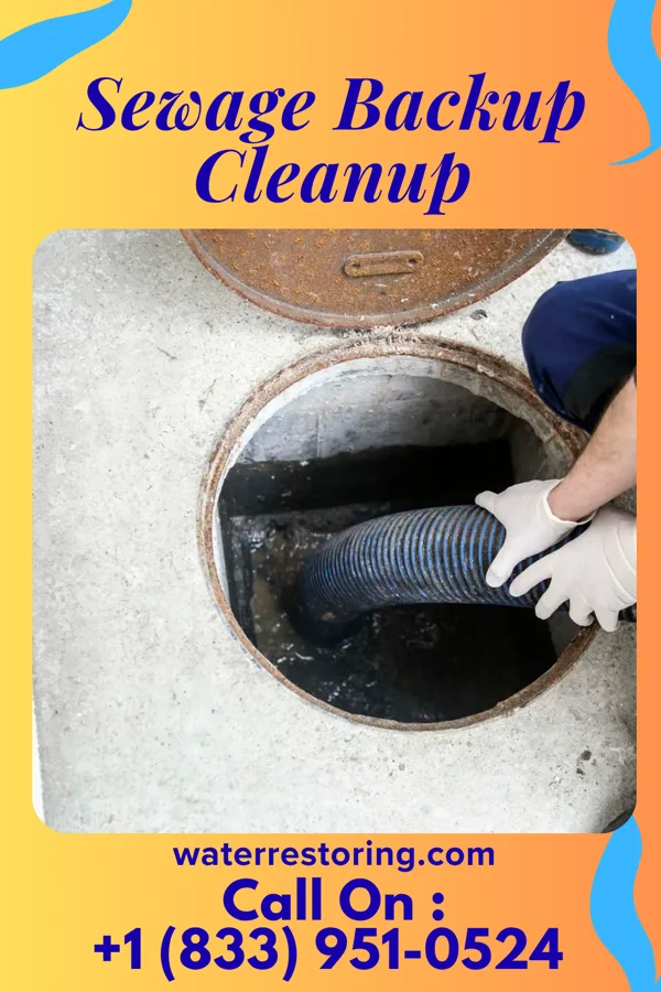 Sewage Backup Cleanup in Charlestown, MD