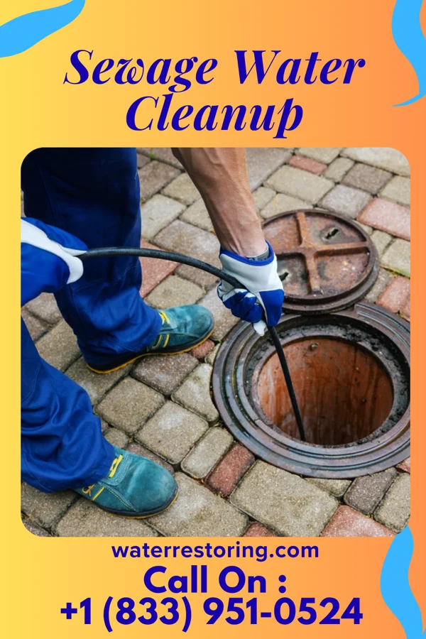 Sewage Water Cleanup in Charlestown, MD