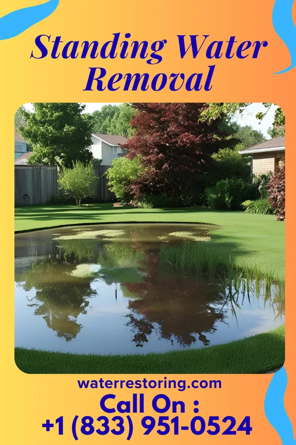Standing Water Removal in Charlestown, MD